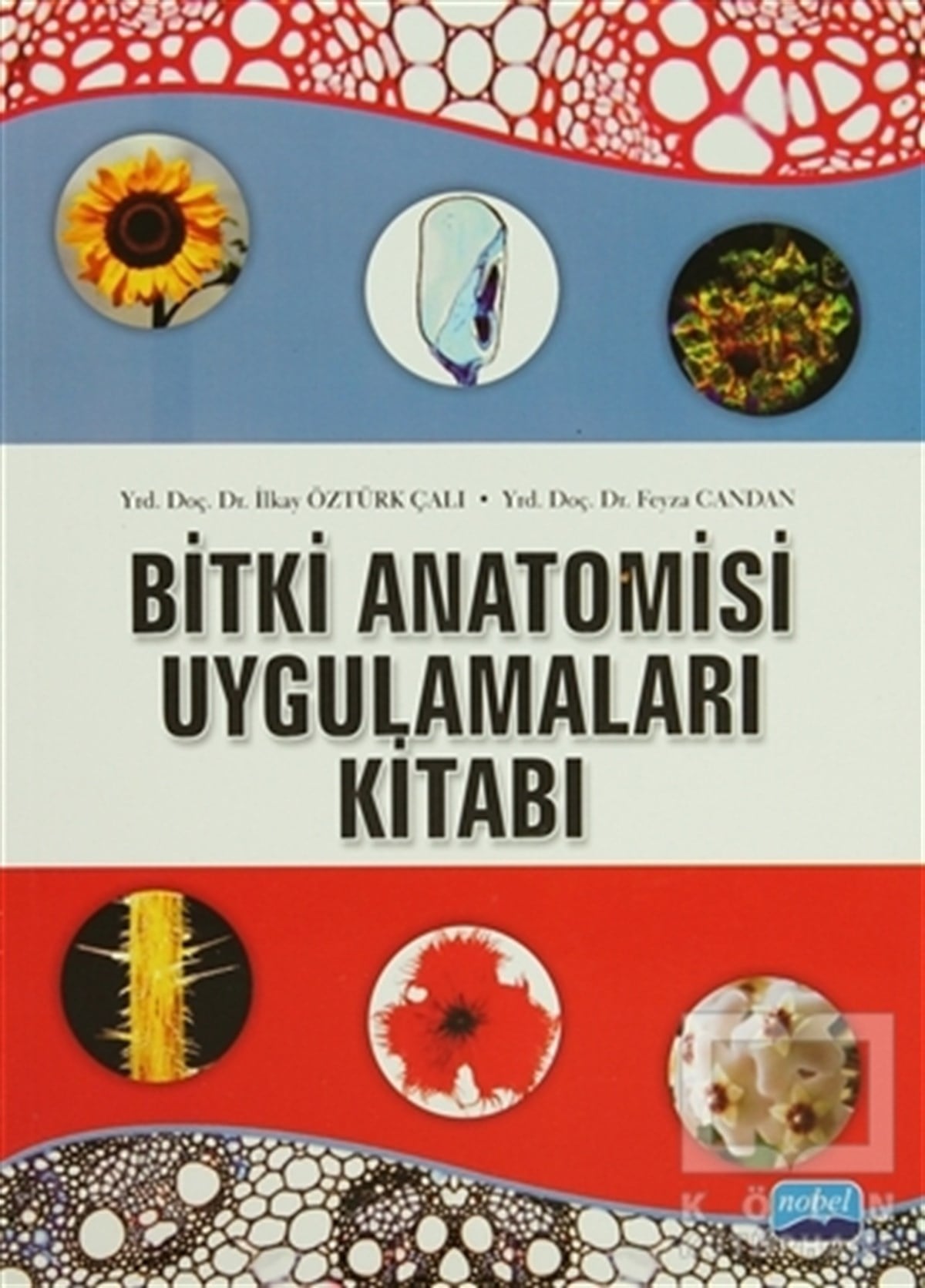 Bitki Anatomisi ve Uygulamaları Kitabı