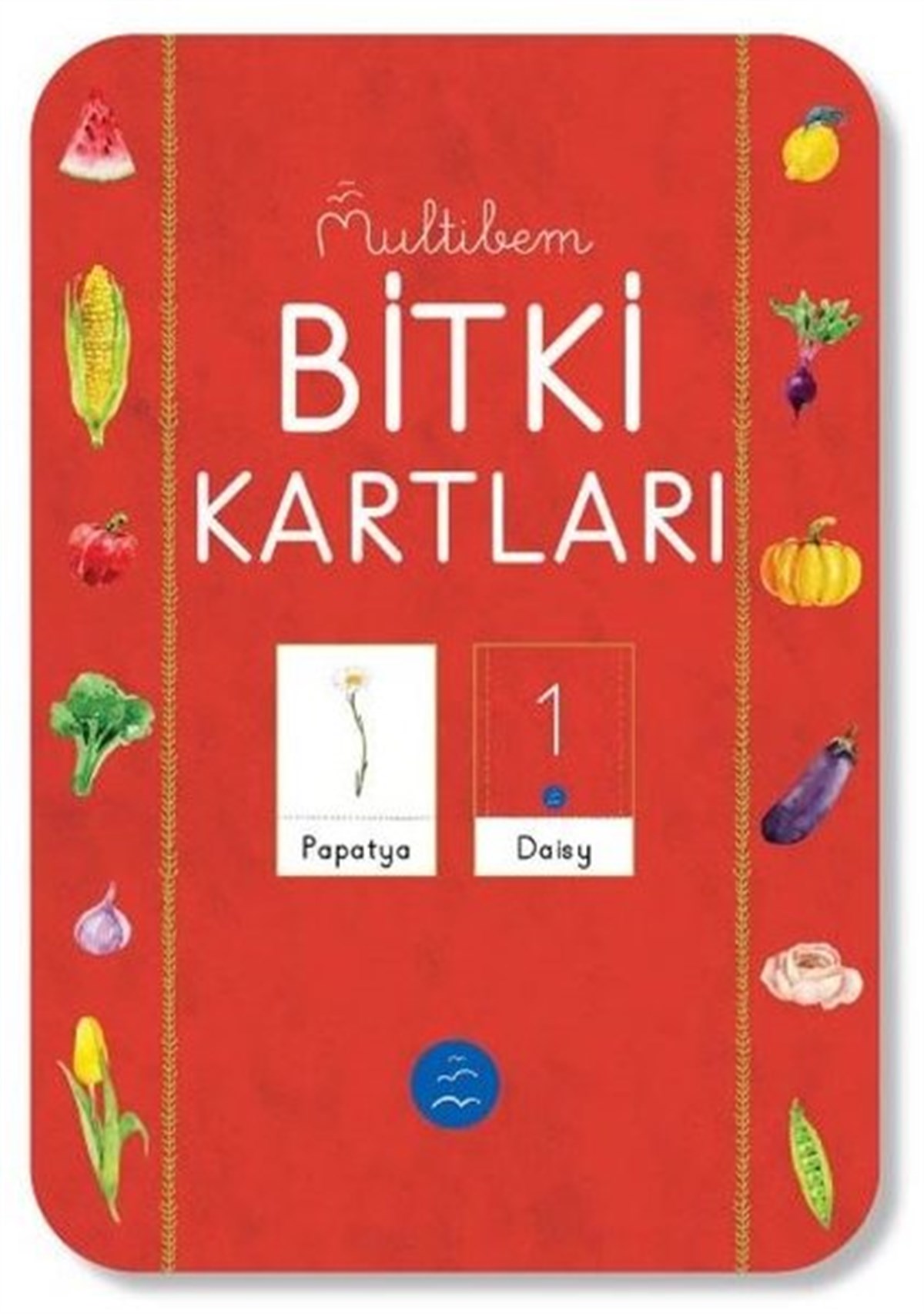 KolektifEgitim Etkinlik KitaplariBitki Kartları