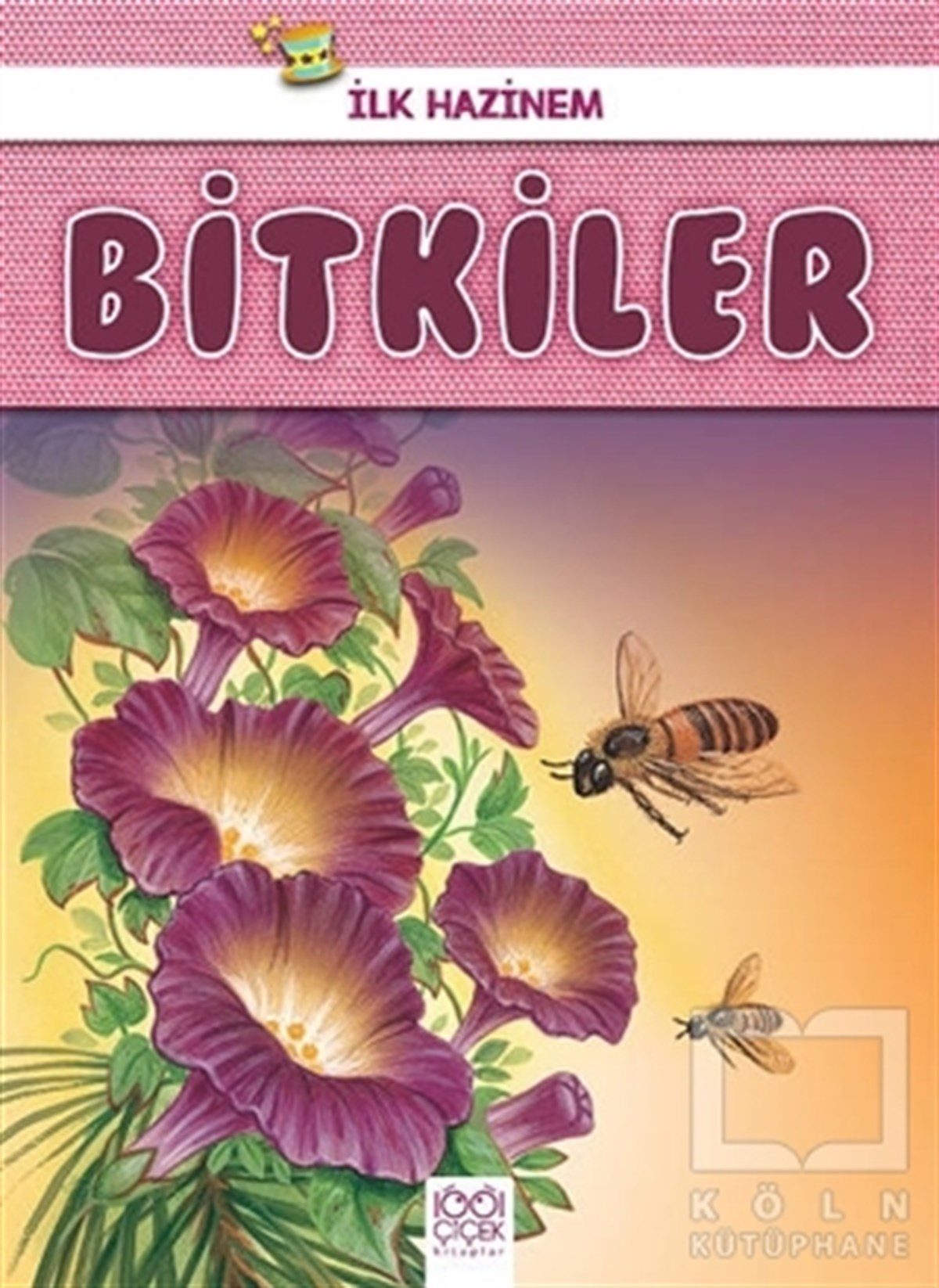 Denise RyanZeka GelişimiBitkiler - İlk Hazinem