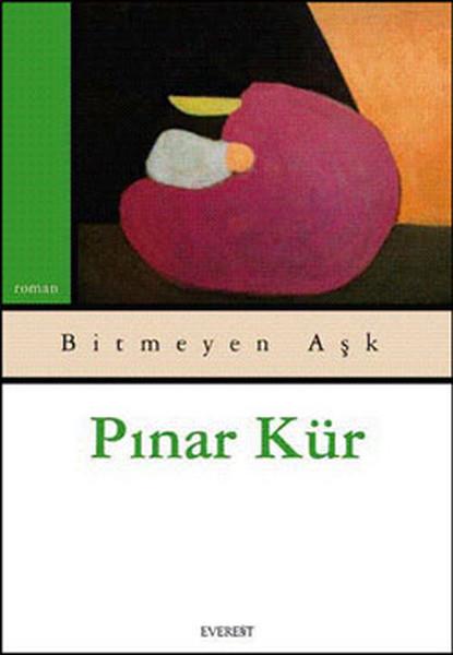 Pınar KürTürkiye RomanBitmeyen Aşk