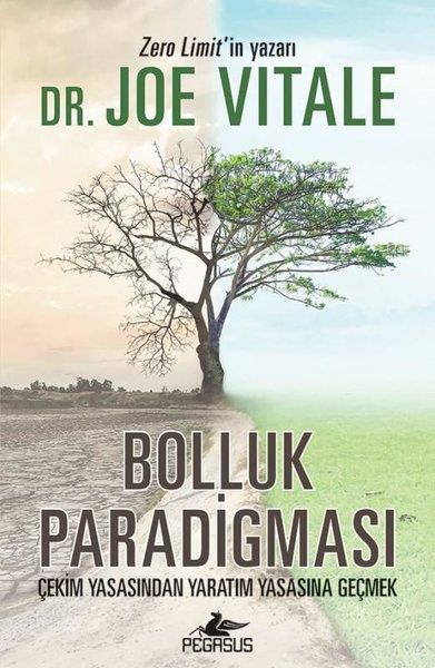 Joe VitaleMarketin-, Werbe- und VerkaufsbücherBolluk Paradigması: Çekim Yasasından Yaratım Yasasına Geçmek