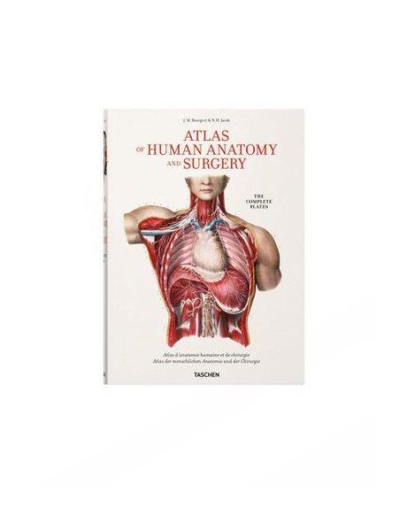 Henri Sick SickArtBourgery. Atlas of Human Anatomy and Surgery