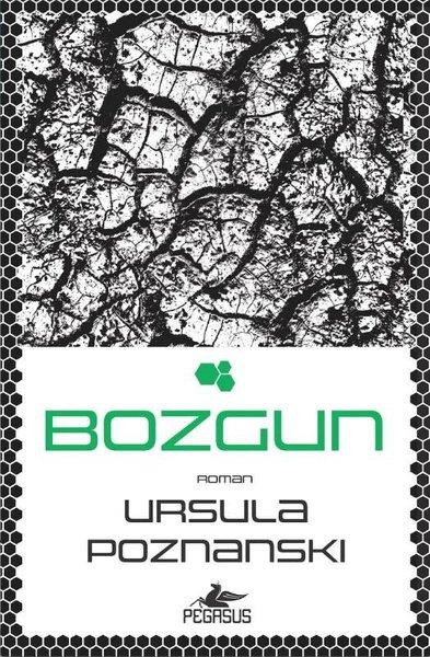 Ursula PoznanskiPsikoloji KitaplarıBozgun - İhanet Üçlemesi 3