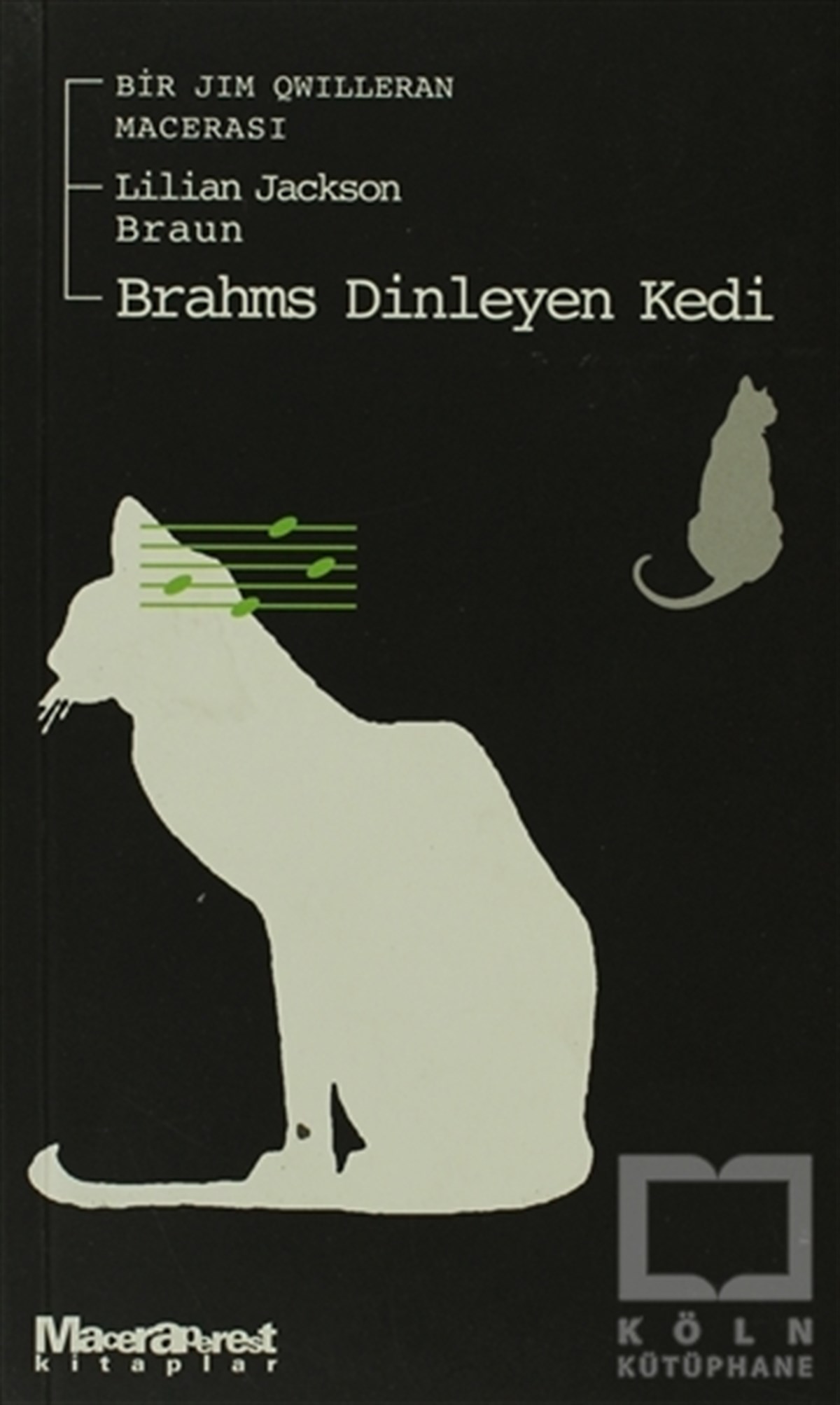 Brahms Dinleyen Kedi