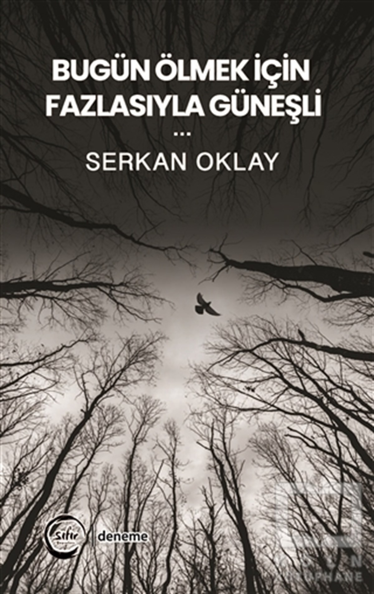 Serkan OklayEssay BücherBugün Ölmek İçin Fazlasıyla Güneşli