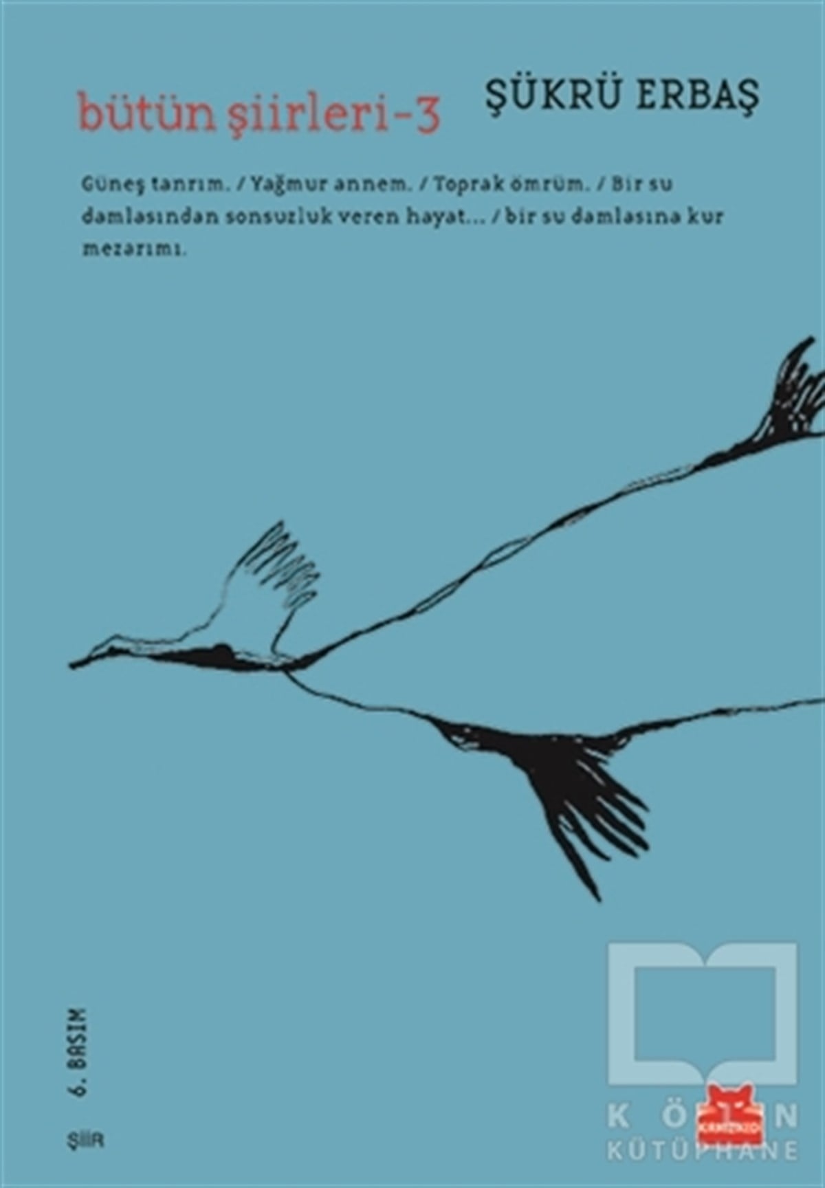 Bütün Şiirleri - 3