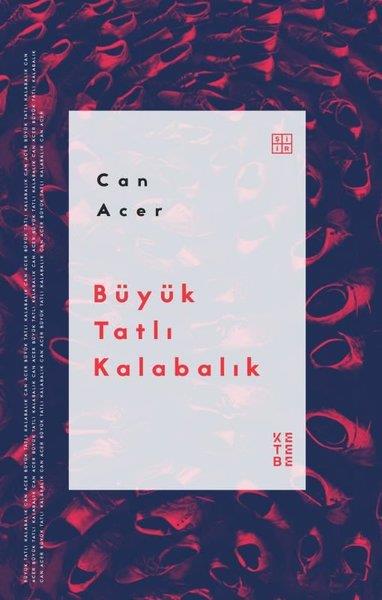 Can AcerTürk ŞiiriBüyük Tatlı Kalabalık
