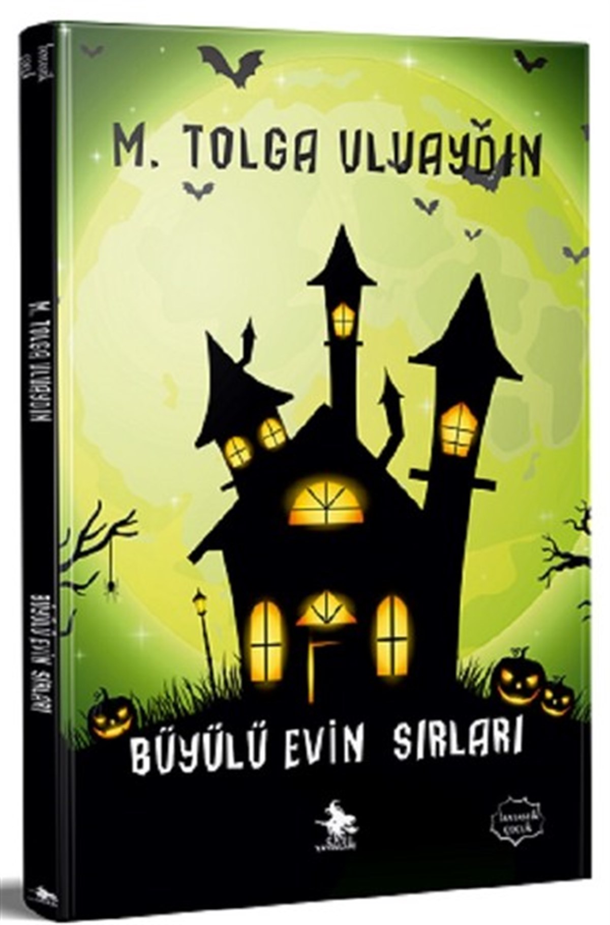 M. Tolga UluaydınWissenschaftsbücher für KinderBüyülü Evin Sırları