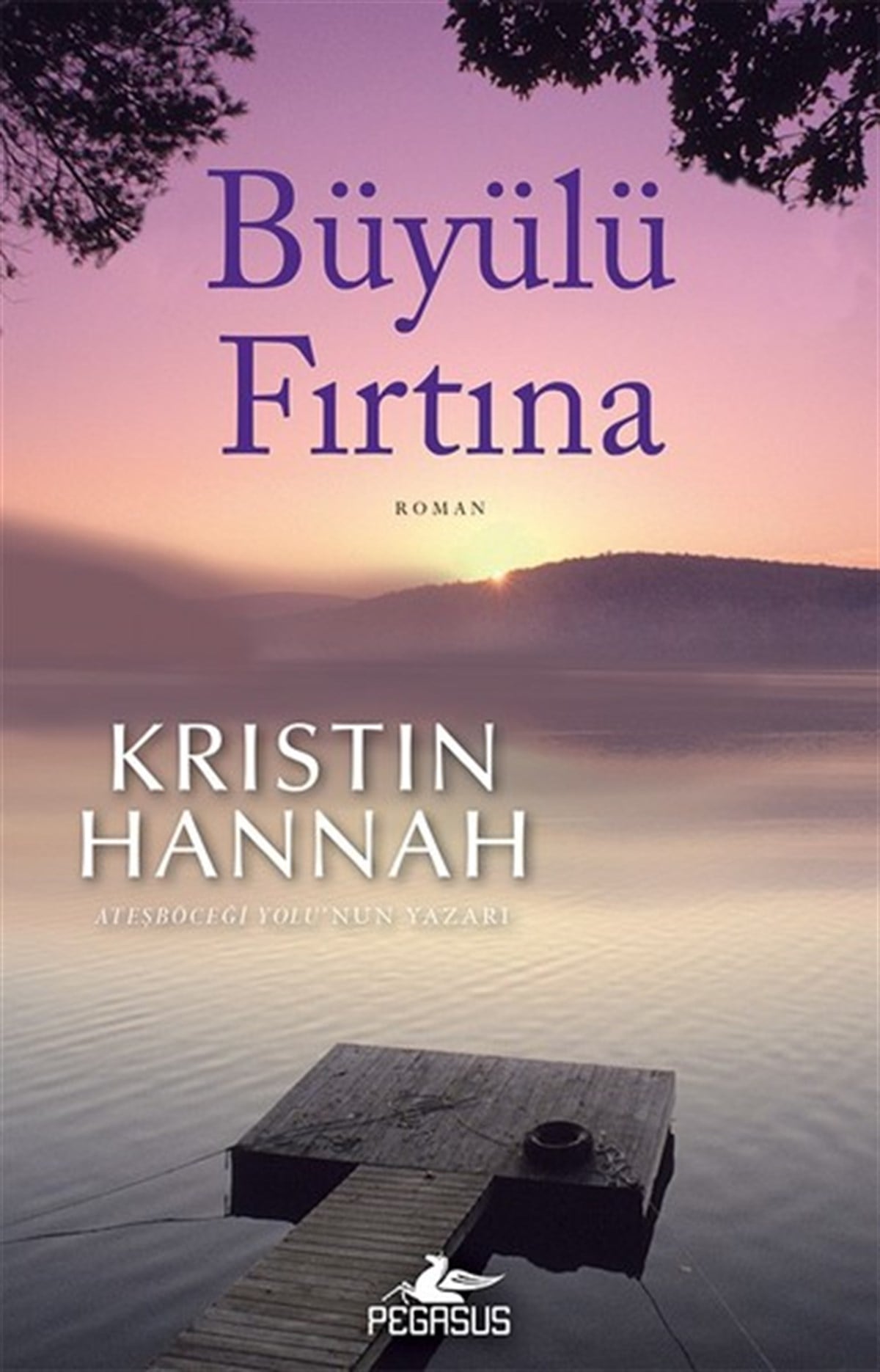 Kristin HannahDünya RomanBüyülü Fırtına