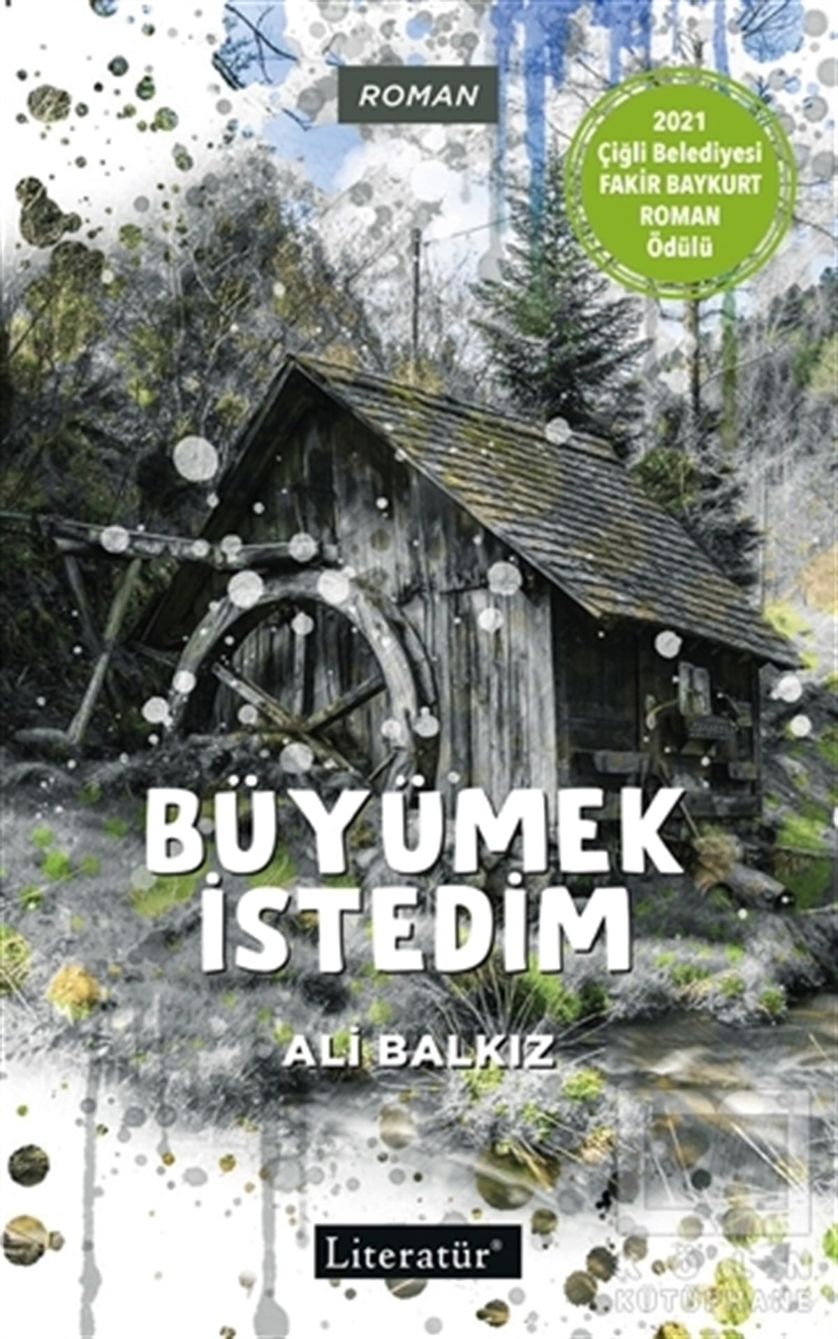 Ali BalkızTürkische RomaneBüyümek İstedim