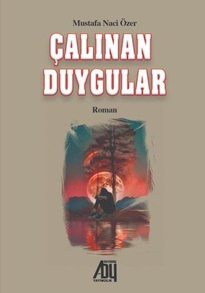 Mustafa Naci ÖzerTürk RomaniÇalınan Duygular