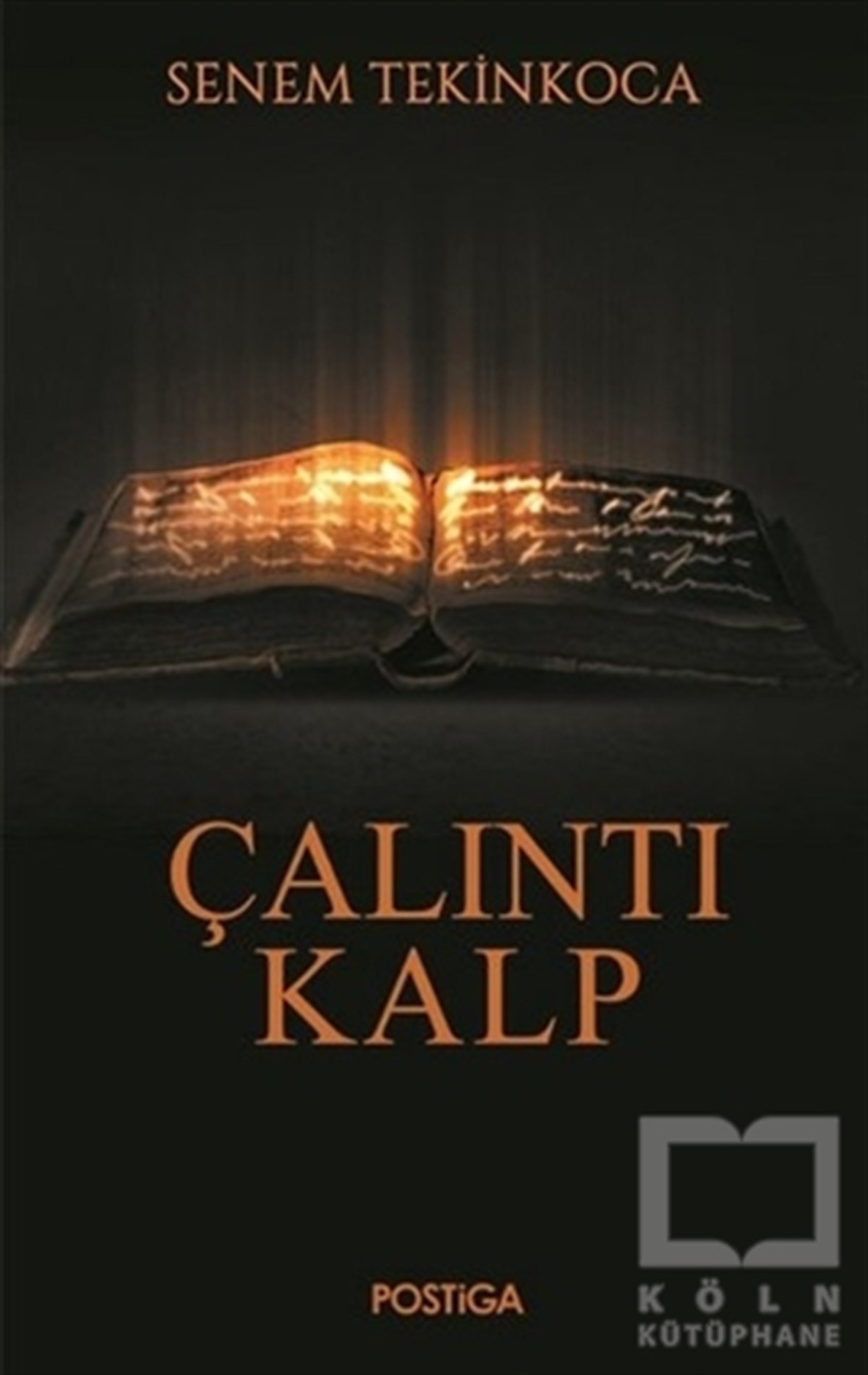 Senem TekinkocaRomanÇalıntı Kalp