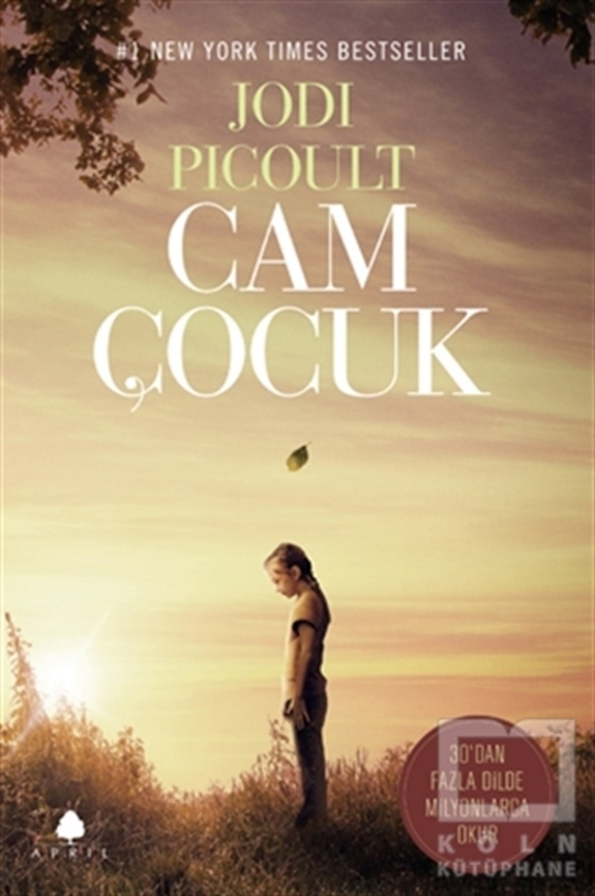 Jodi PicoultRomanCam Çocuk