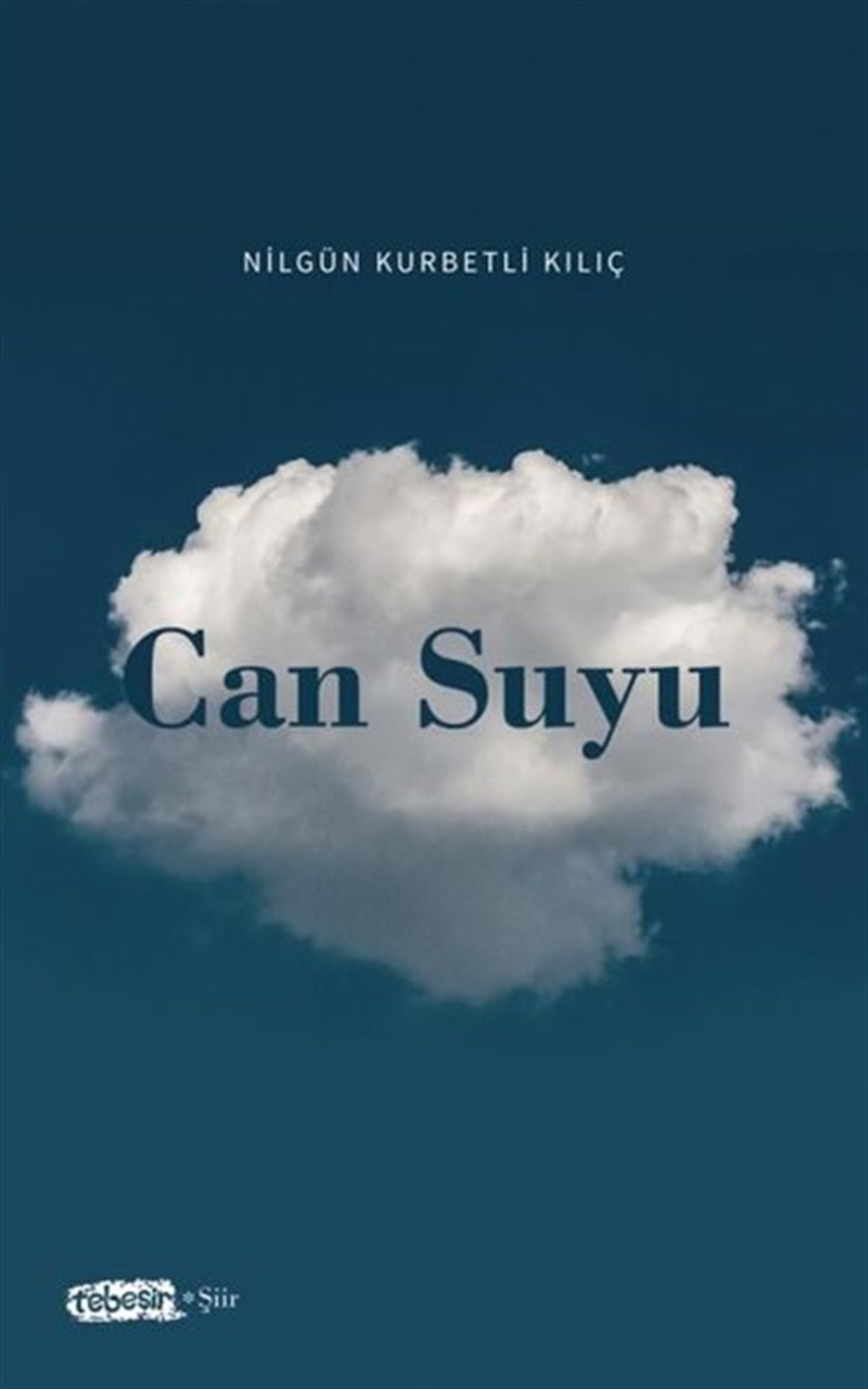 Nilgün Kurbetli KılıçTürk ŞiiriCan Suyu