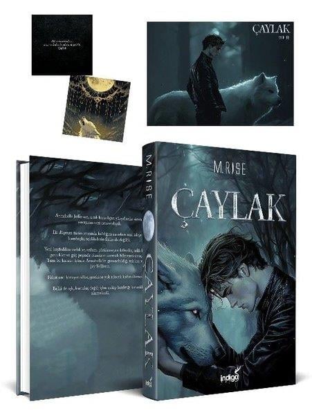 M. RiseFantasy und RomaneÇaylak