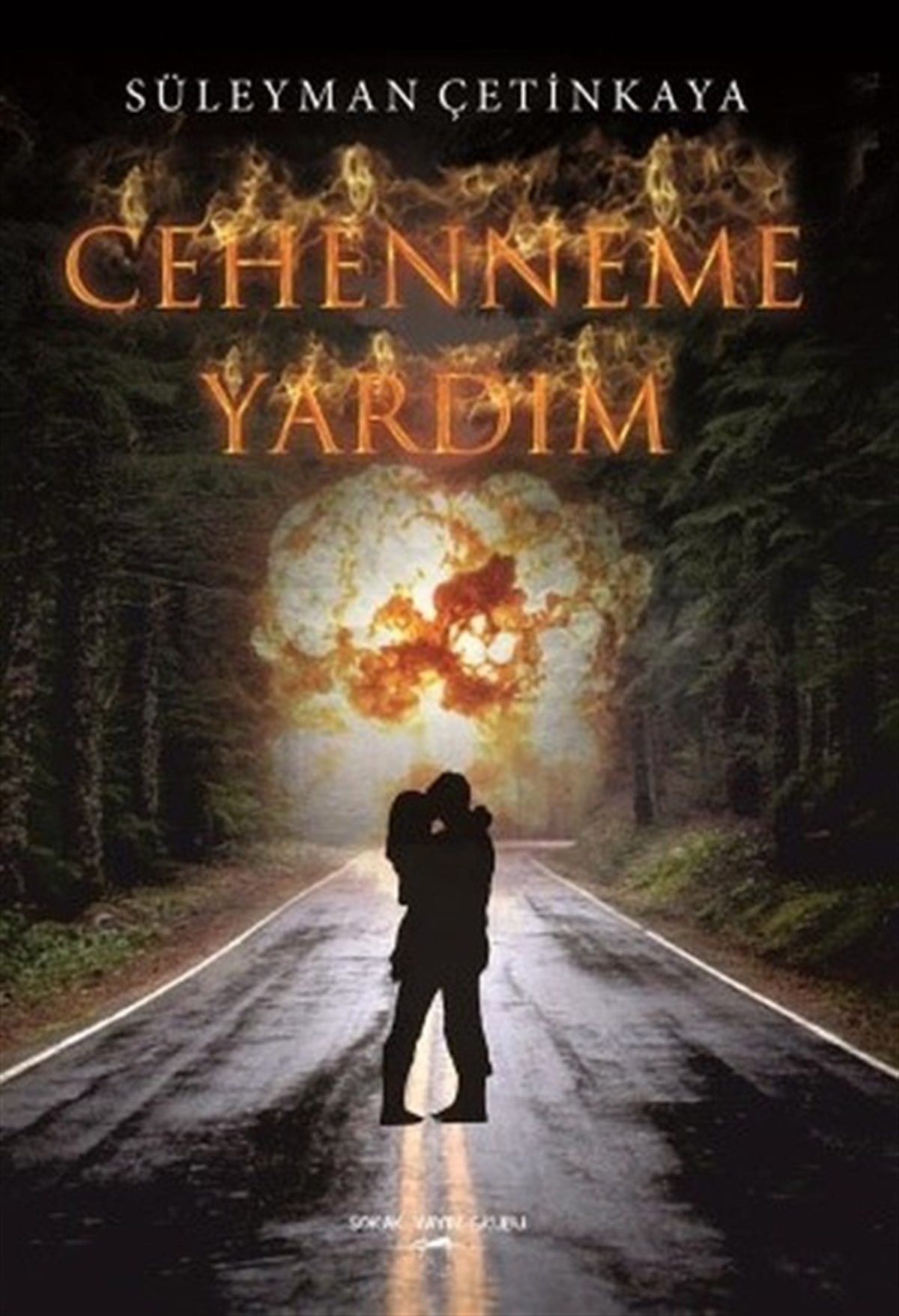 Süleyman ÇetinkayaTürkiye RomanCehenneme Yardım