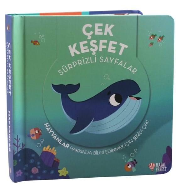 KolektifEgitim Etkinlik KitaplariÇek Keşfet - Hayvanlar - Sürprizli Sayfalar