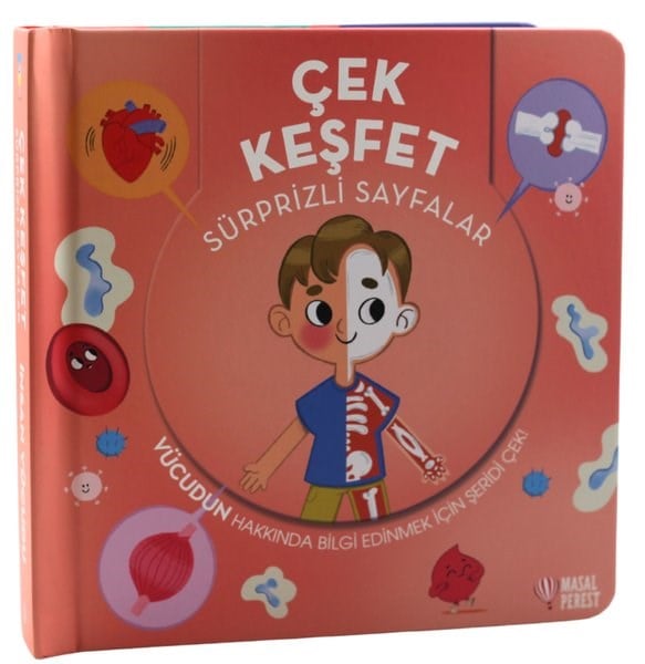 KolektifEgitim Etkinlik KitaplariÇek Keşfet - İnsan Vücudu - Sürprizli Sayfalar
