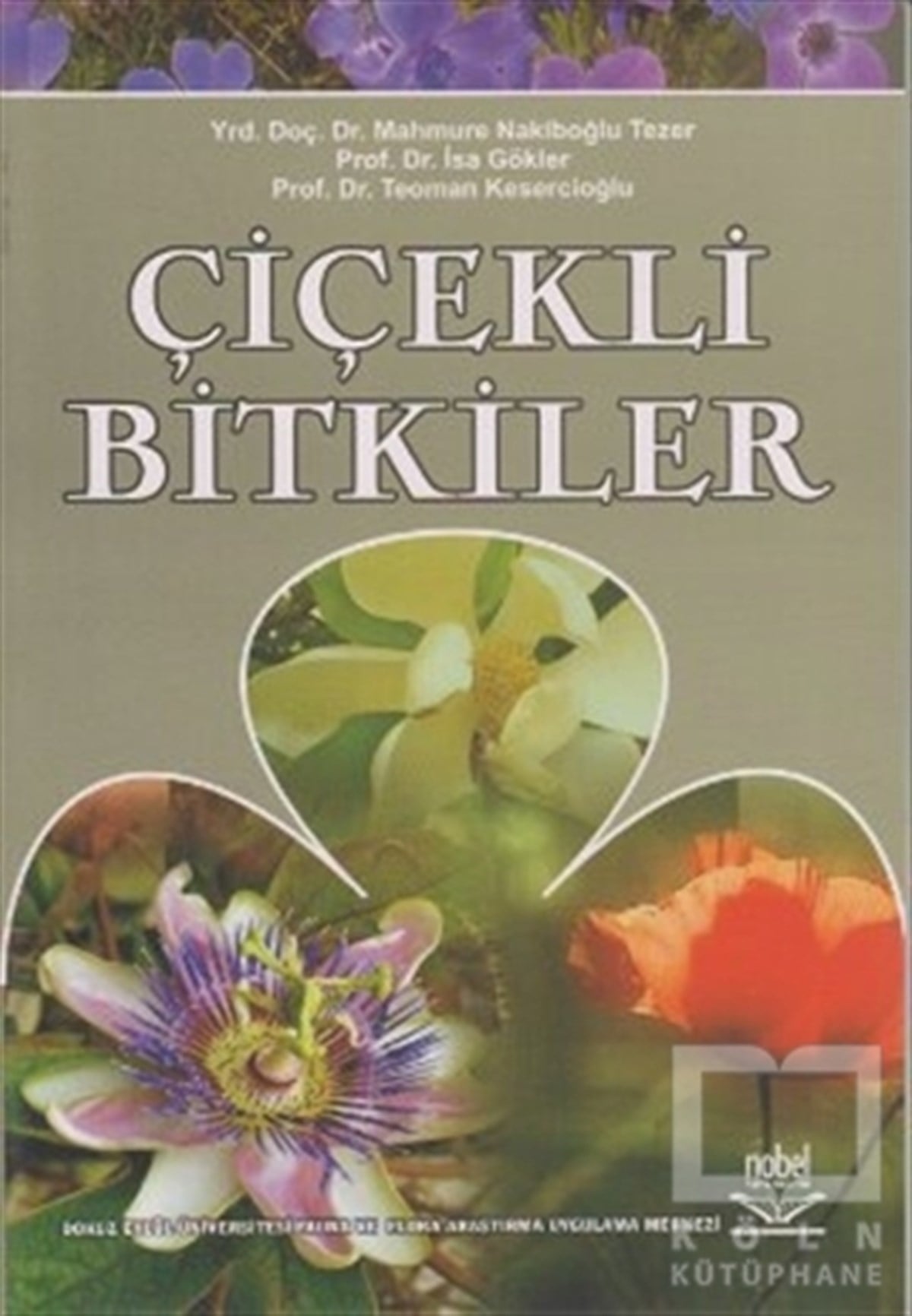 Çiçekli Bitkiler