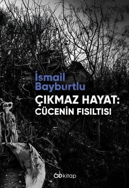 İsmail BayburtluTürk RomaniÇıkmaz Hayat: Cücenin Fısıltısı
