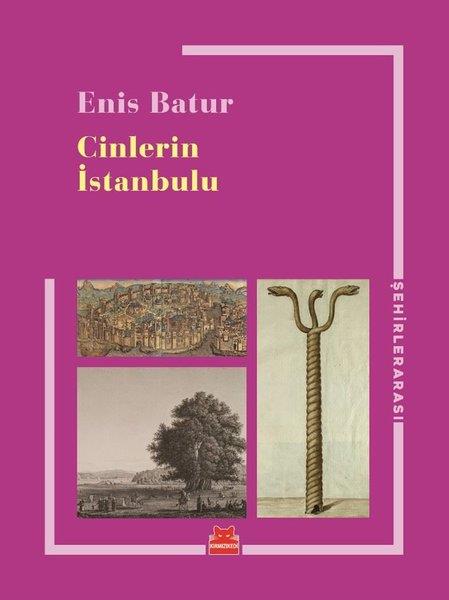 Enis BaturGezi Rehberi KitaplarıCinlerin İstanbulu
