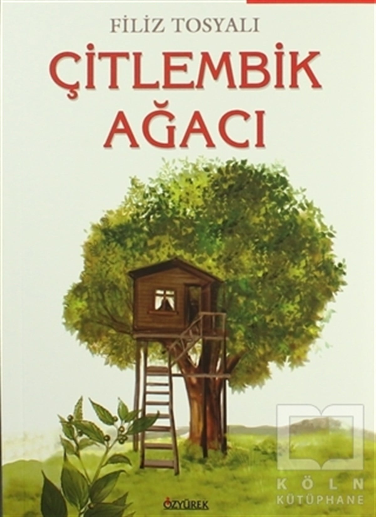 Çitlembik Ağacı