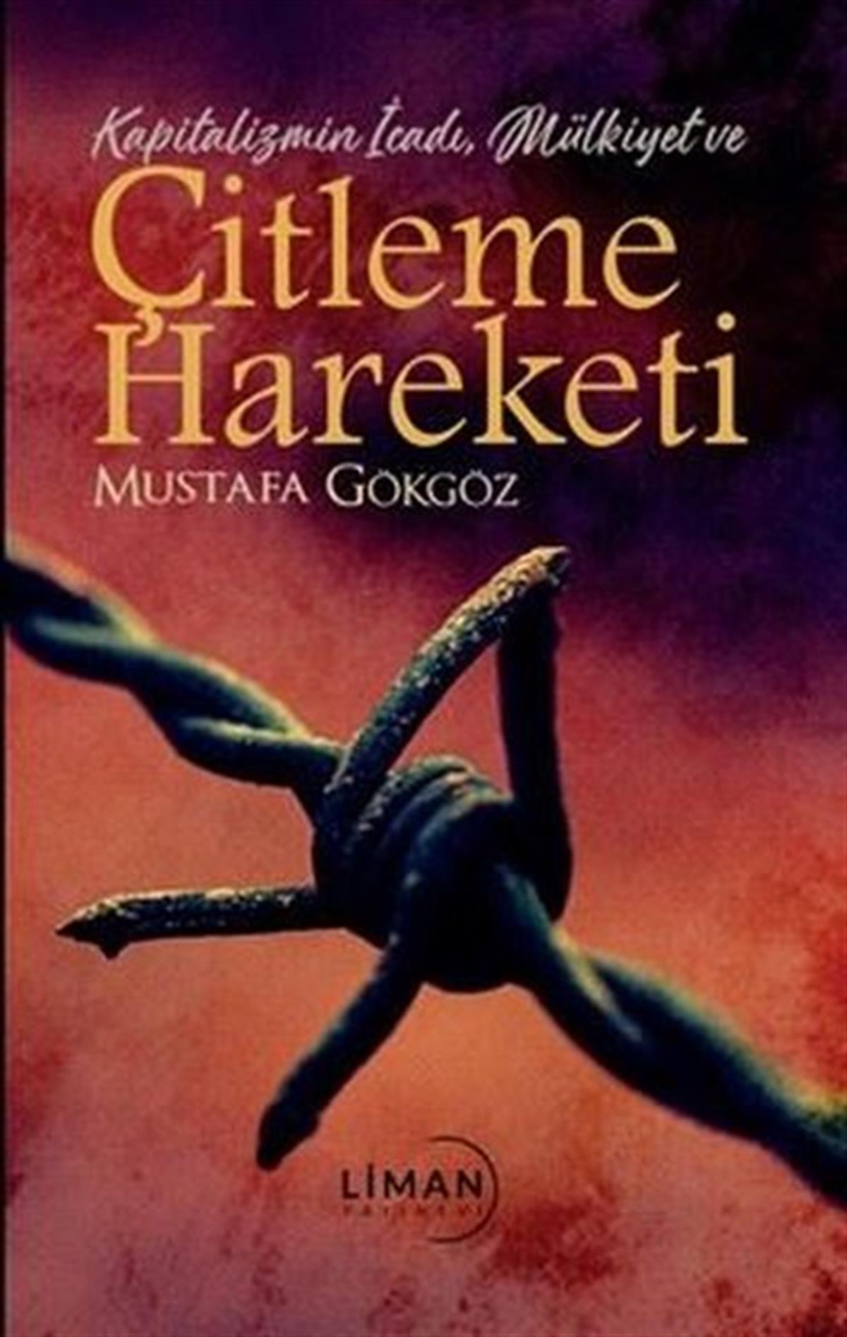 Mustafa GökgözAllgemeine Politik & Politikwissenschaft & PolitikgeschichteÇitleme Hareketi - Kapitalizmin İcadı, Mülkiyet ve