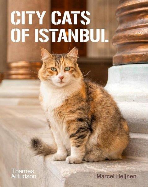 Marcel HeijnenTurkish InterestCity Cats of Istanbul