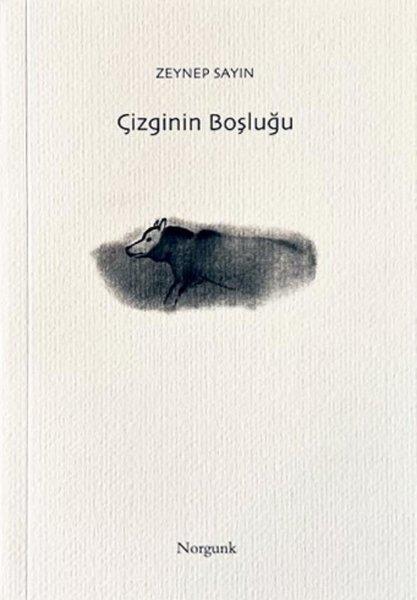Zeynep SayınSanat Kuramı KitaplarıÇizginin Boşluğu