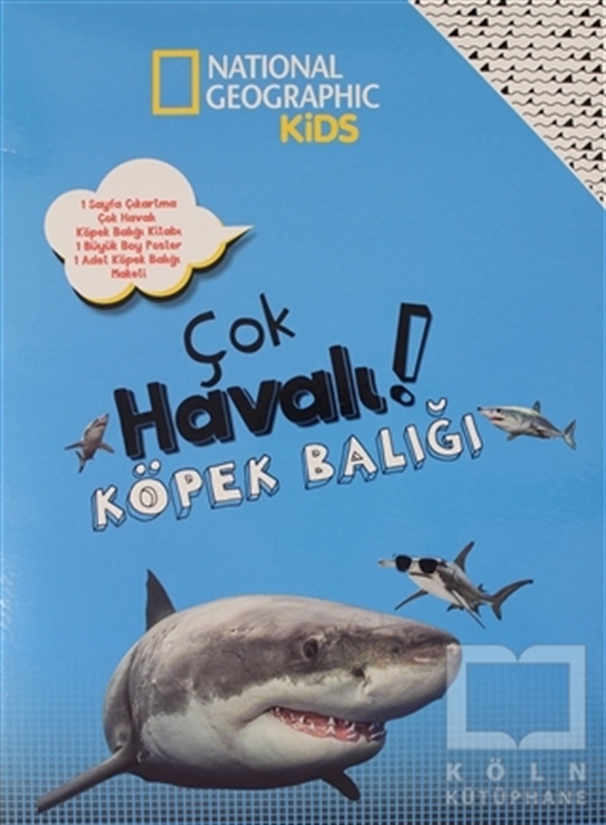 Çok Havalı Köpek Balığı - National Geographic Kids