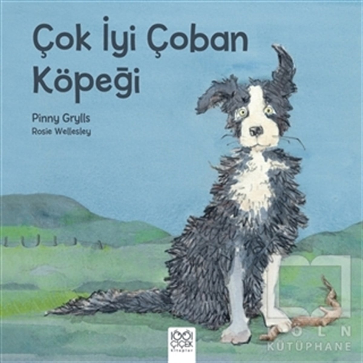 Rosie WellesleyÇocuk Hikaye KitaplarıÇok İyi Çoban Köpeği