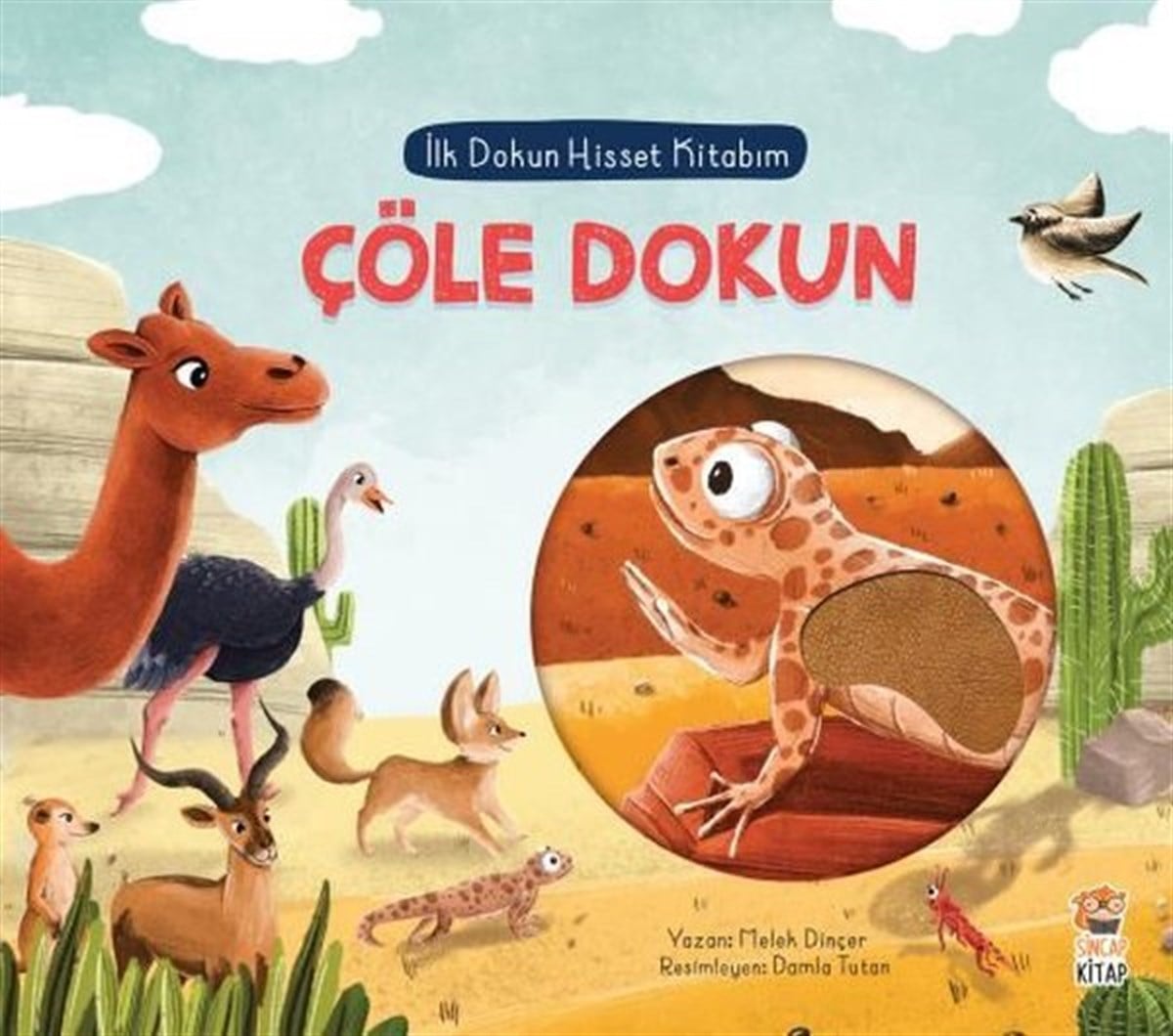 Melek DinçerOkul Öncesi Masal KitaplarıÇöle Dokun - İlk Dokun Hisset Kitabım