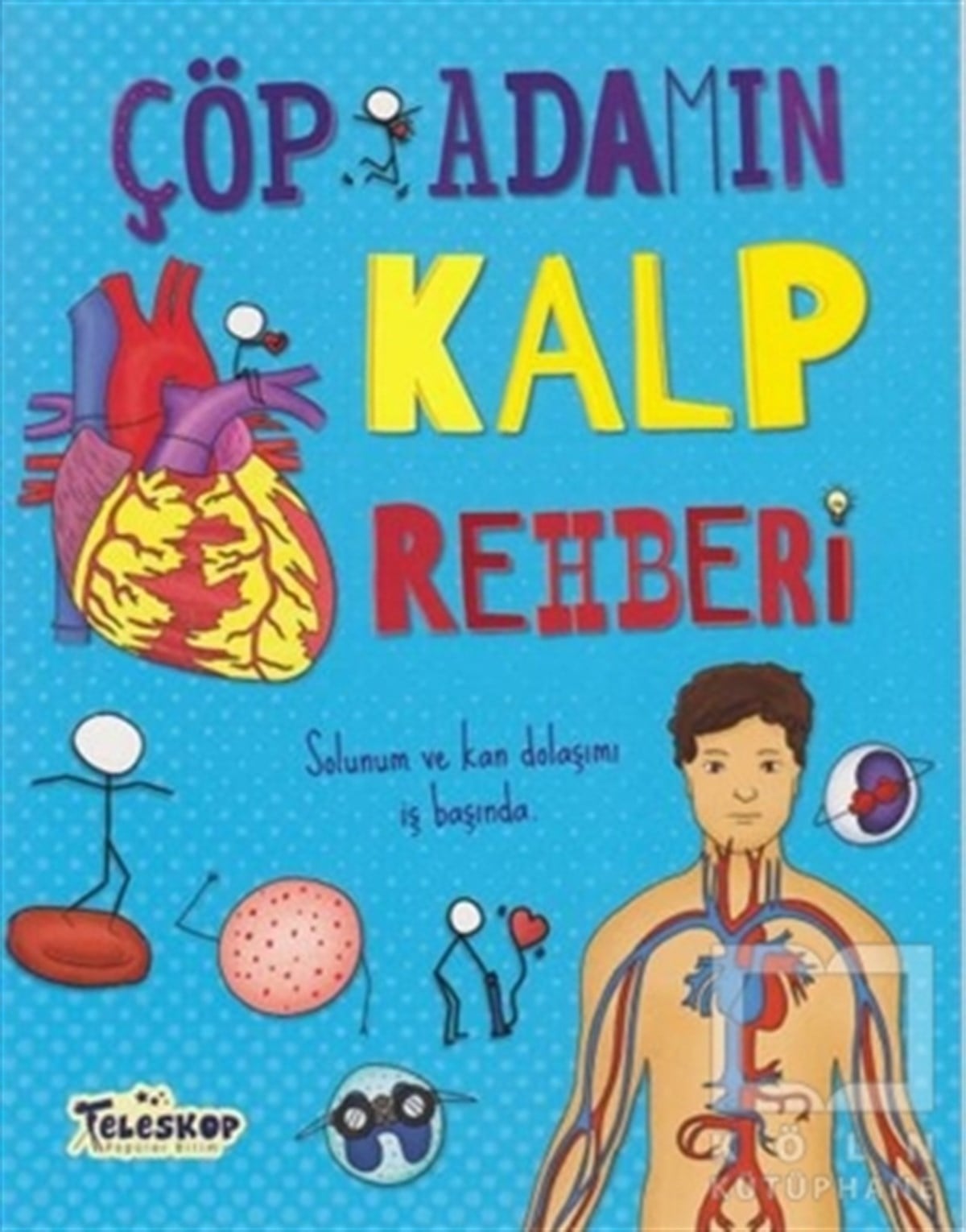 John FarndonPopüler BilimÇöp Adamın Kalp Rehberi