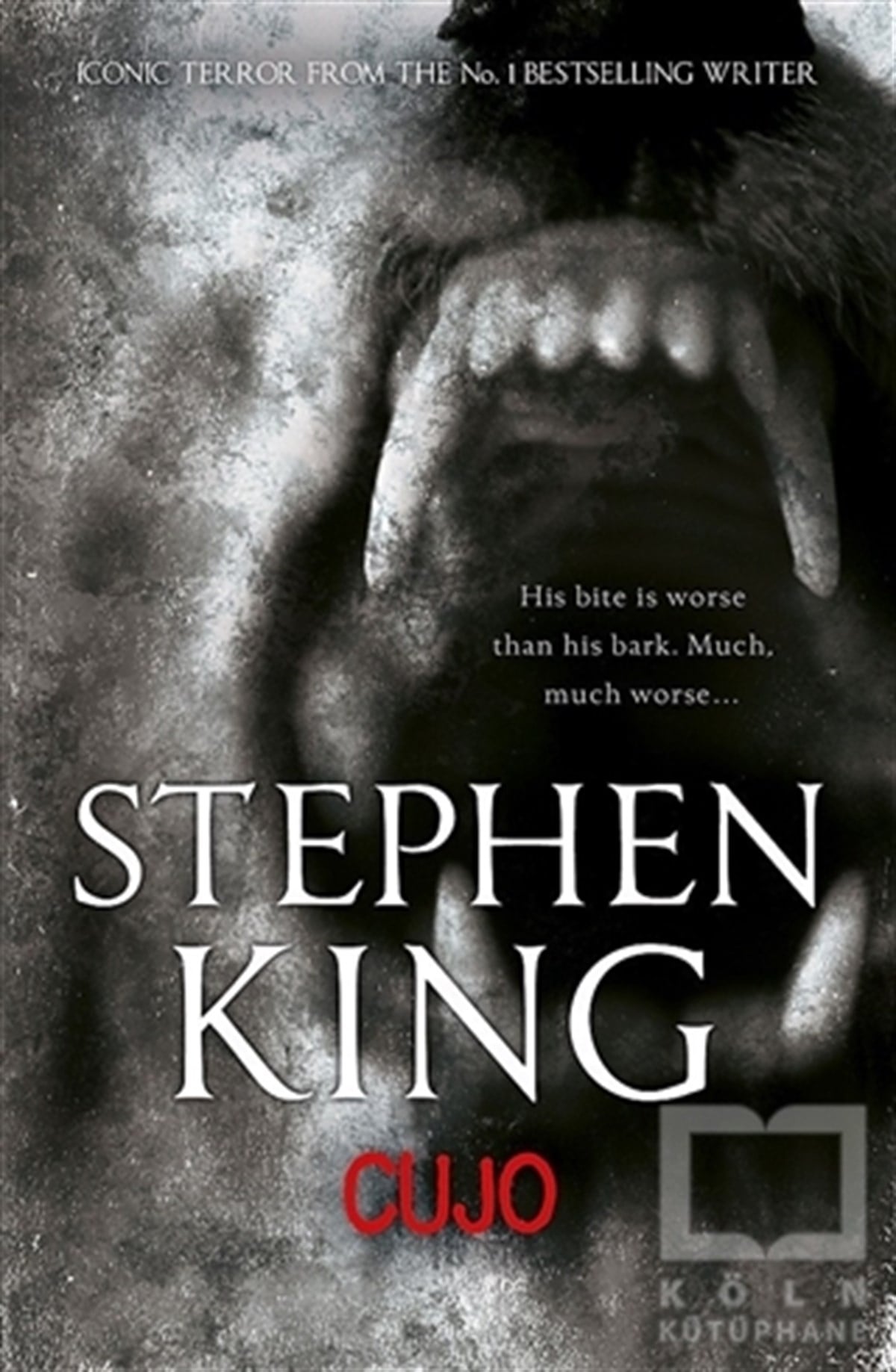 Stephen KingYabancı Dilde KitaplarCujo