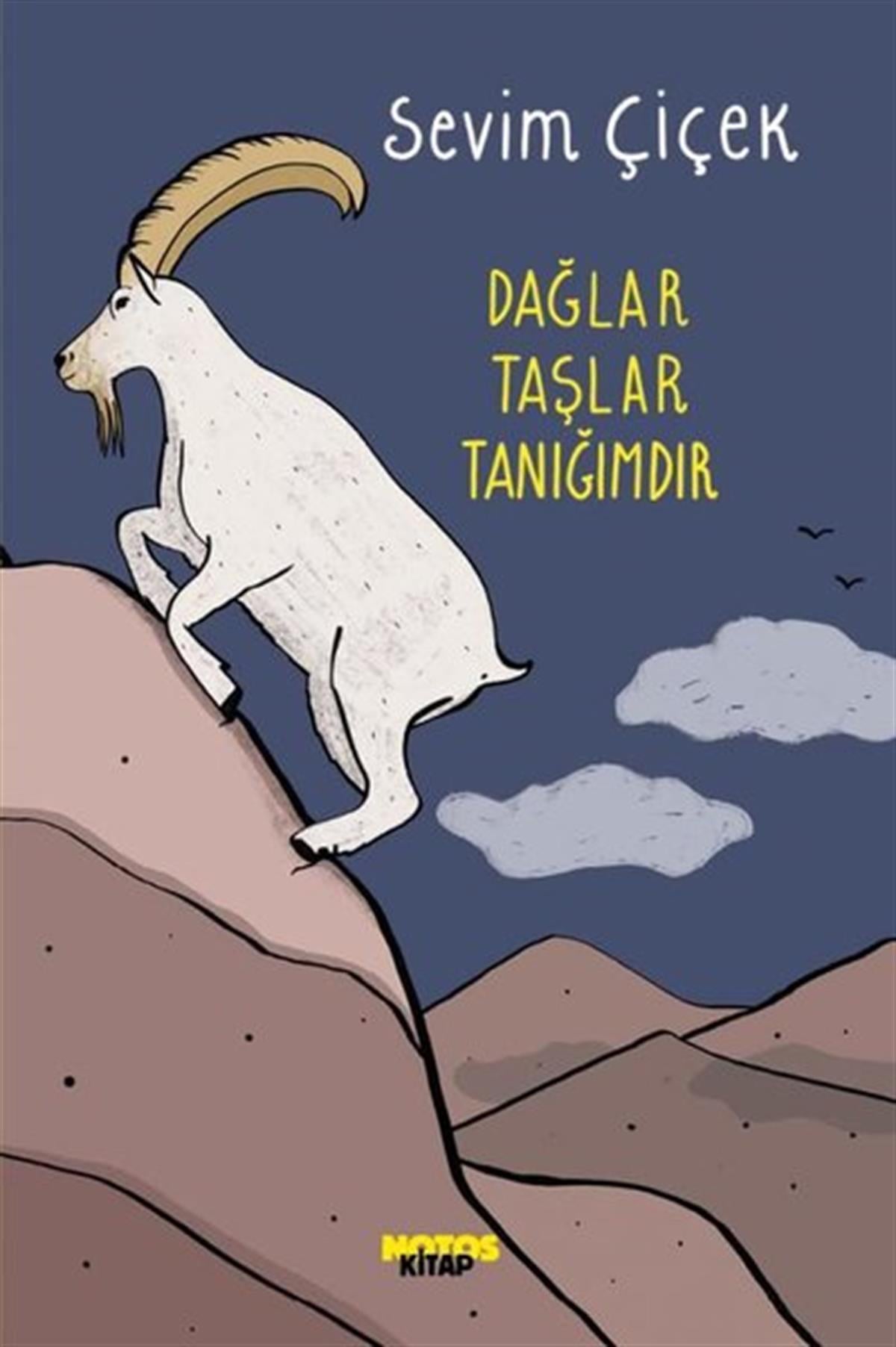 Sevim ÇiçekTürkiye RomanDağlar Taşlar Tanığımdır