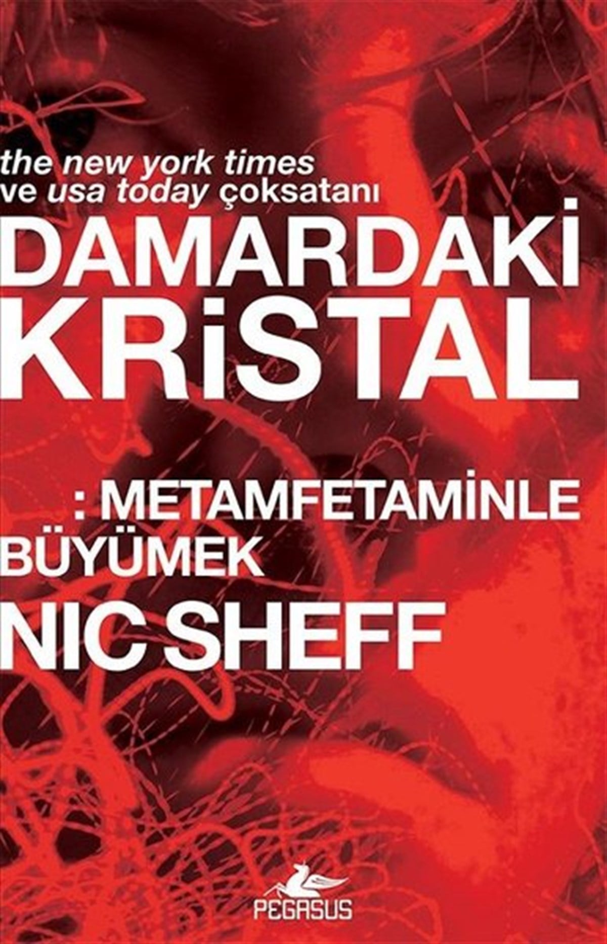 Nic SheffUyusturucu ve AlkolizmDamardaki Kristal: Metamfetaminle Büyümek