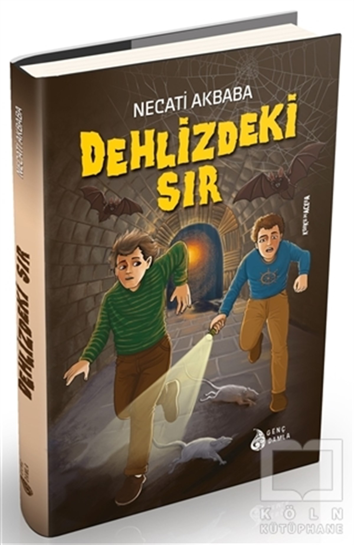 Dehlizdeki Sır