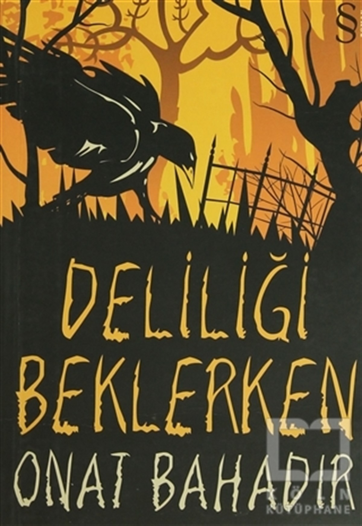 Deliliği Beklerken