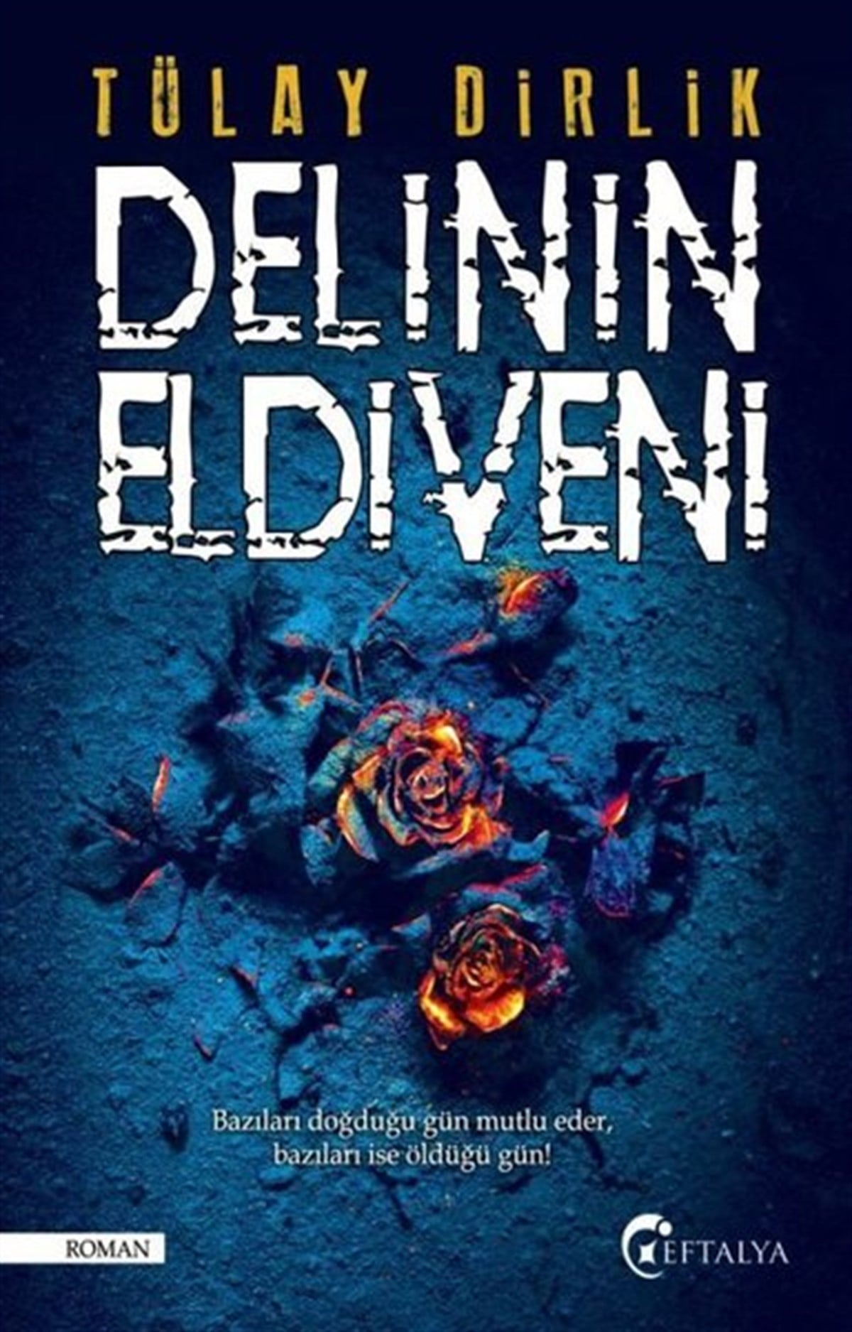 Tülay DirlikTürkiye RomanDelinin Eldiveni