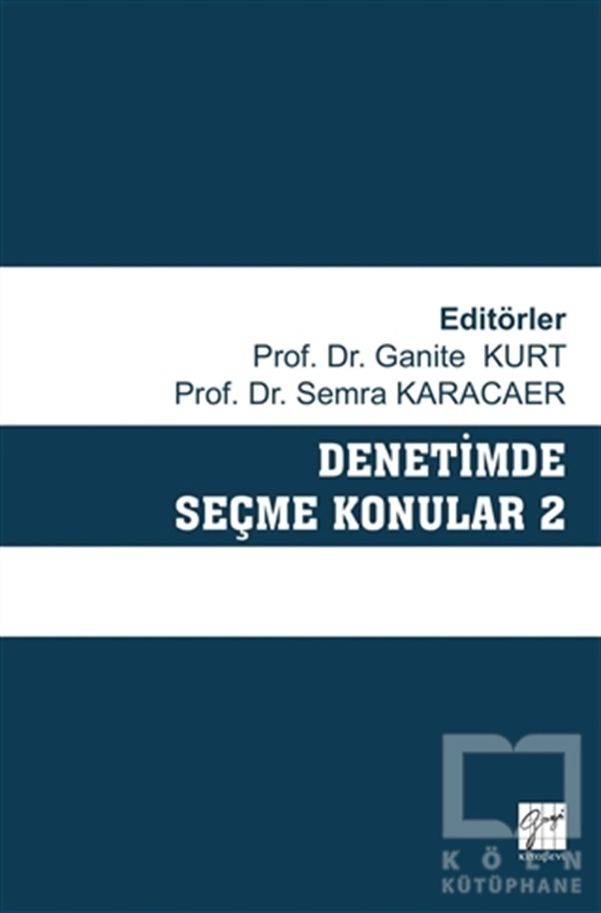 Denetimde Seçme Konular 2