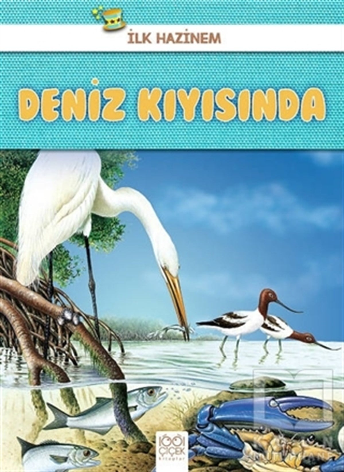 Denise RyanZeka GelişimiDeniz Kıyısında - İlk Hazinem