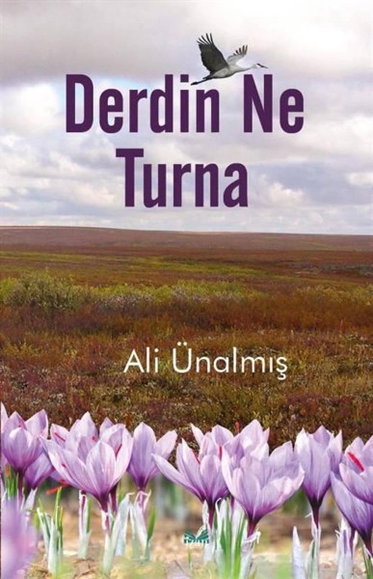Ali ÜnalmışDünya ŞiiriDerdin Ne Turna