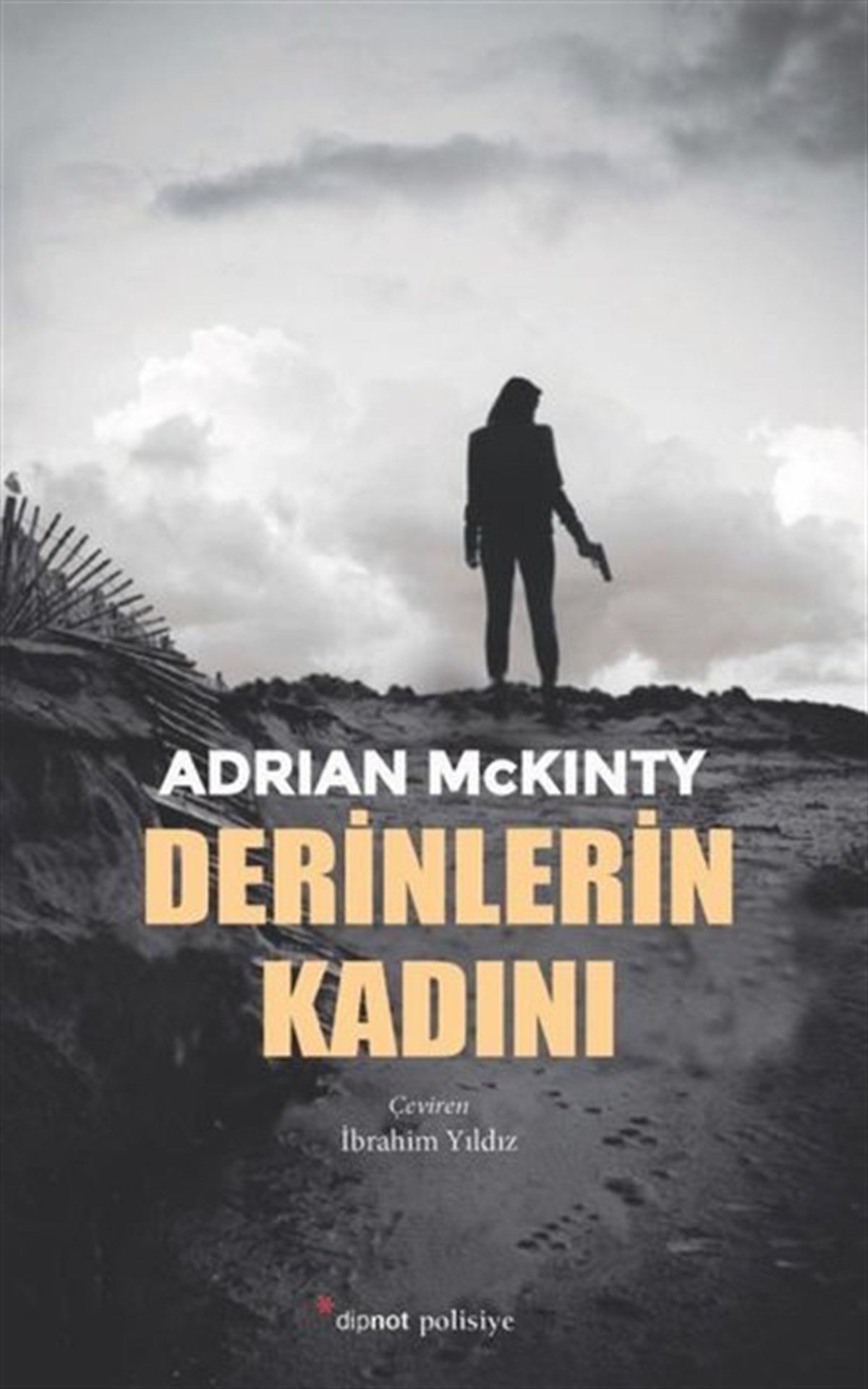 Adrian McKintyPolisiye Romanlar & Cinayet RomanlarıDerinlerin Kadını
