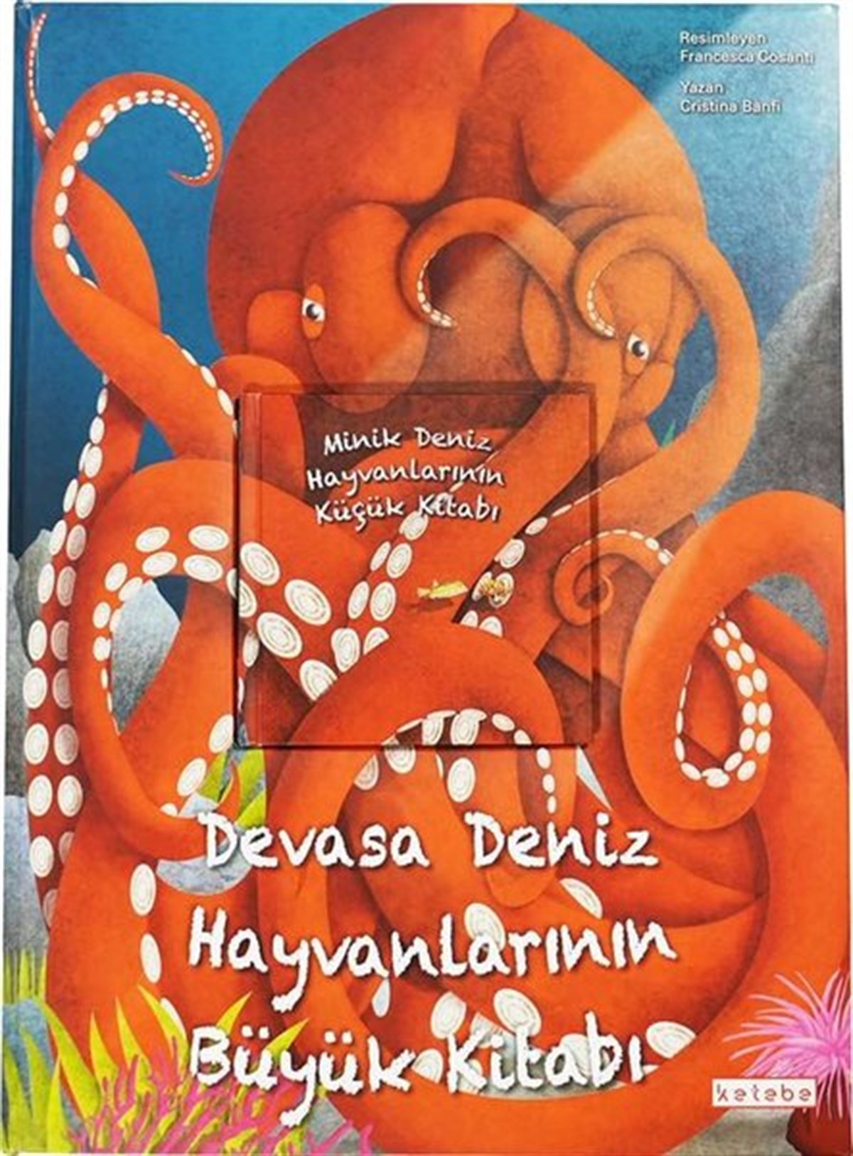 Cristina BanfiOkul Öncesi Masal KitaplarıDevasa Deniz Hayvanlarının Büyük Kitabı  -  Minik Deniz Hayvanlarının Küçük Kitabı - 2 Kitap Bir Arada