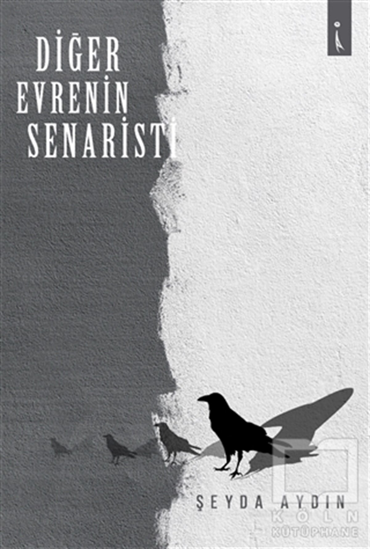 Şeyda AydınRomanDiğer Evrenin Senaristi