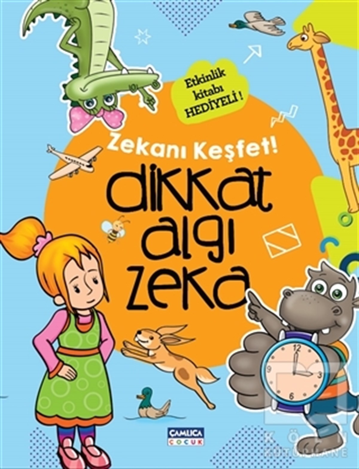 KolektifZeka Gelişimi KitaplarıDikkat Algı Zeka - Zekanı Keşfet !