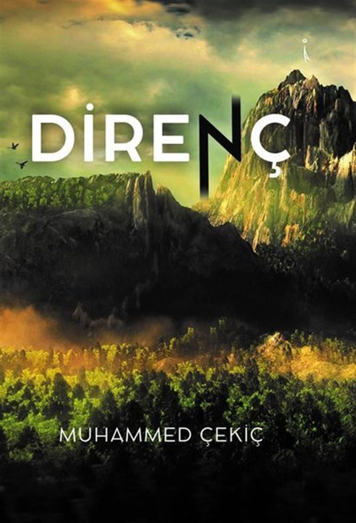 Muhammed ÇekiçTürkiye RomanDirenç