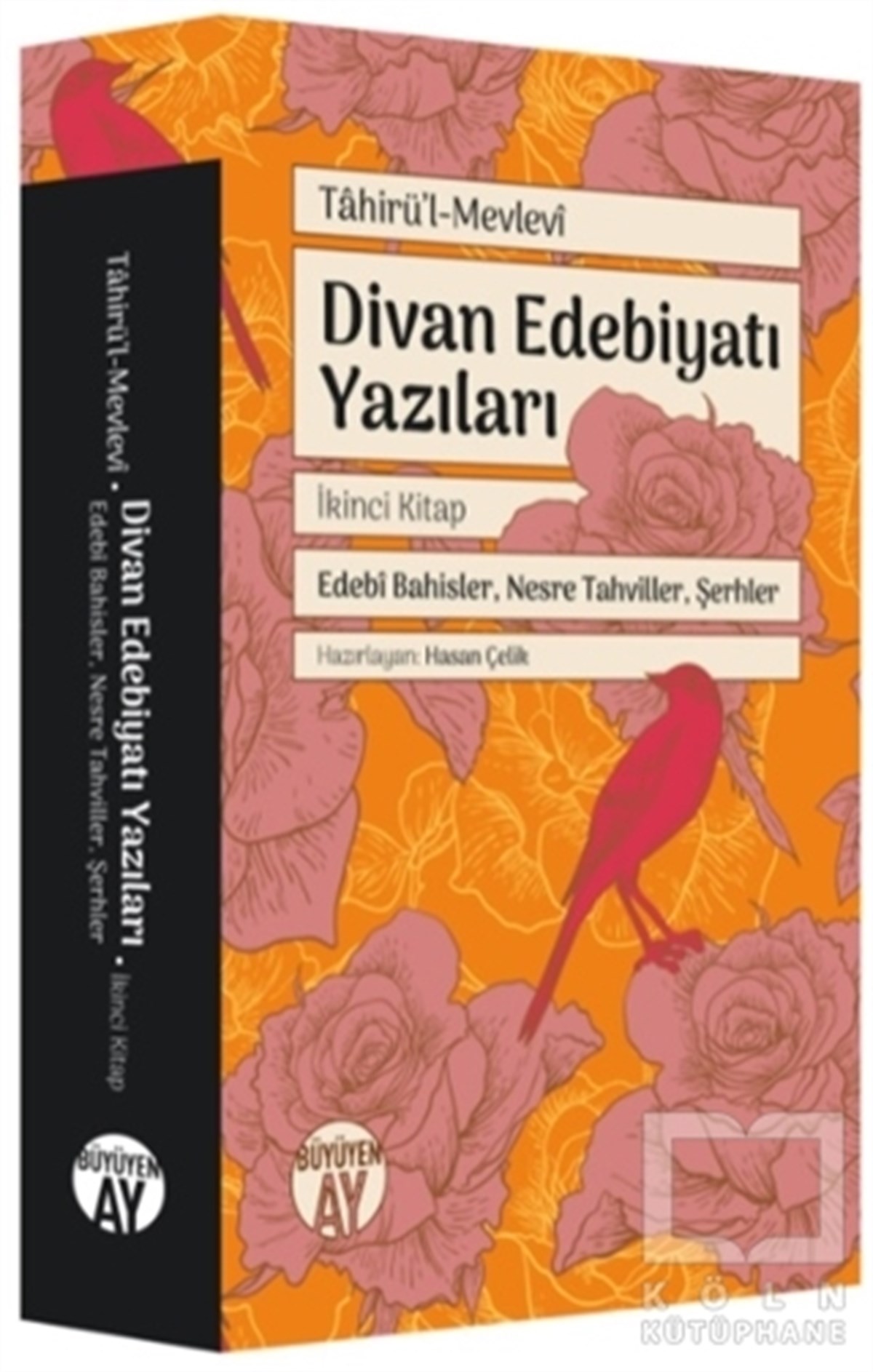Divan Edebiyatı Yazıları 2 - Edebi Bahisler Nesre Tahviller Şerhler