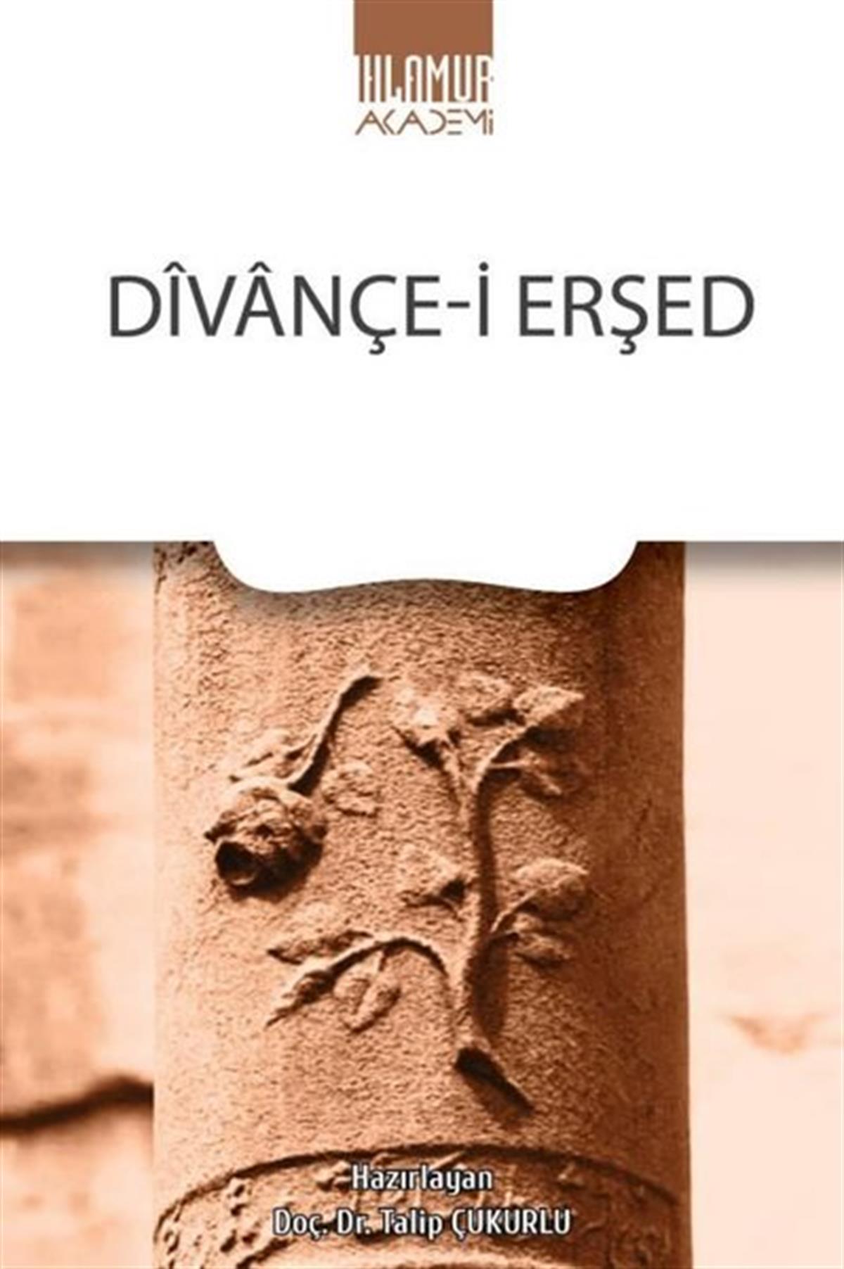 KolektifEleştiri & Kuram & İnceleme KitaplarıDivançe-i Erşed