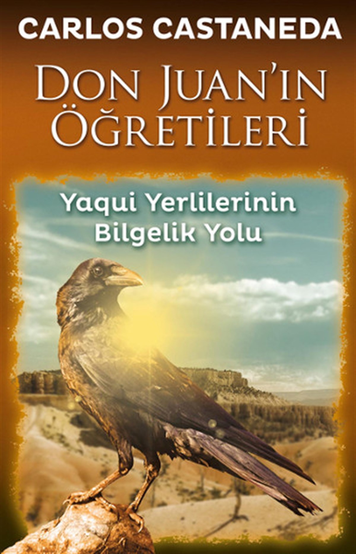 Carlos CastanedaPhilosophiebücherDon Juan'ın Öğretileri